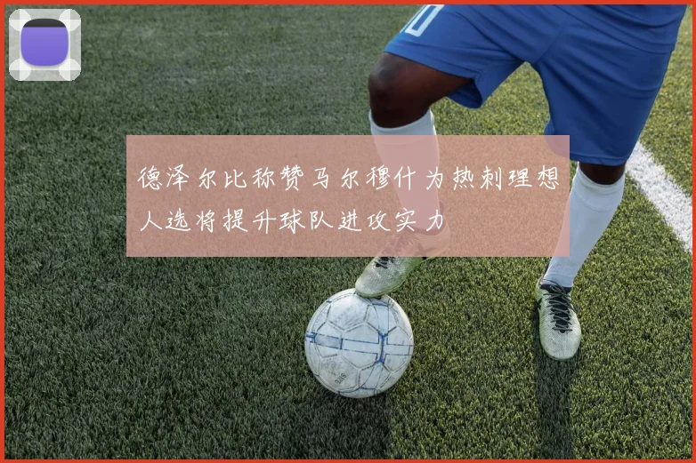 德泽尔比称赞马尔穆什为热刺理想人选将提升球队进攻实力